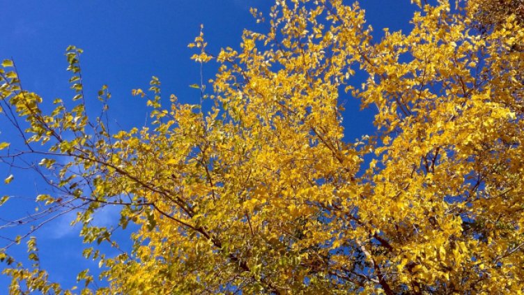 Слънцето ще прогони днес облаците над Варна