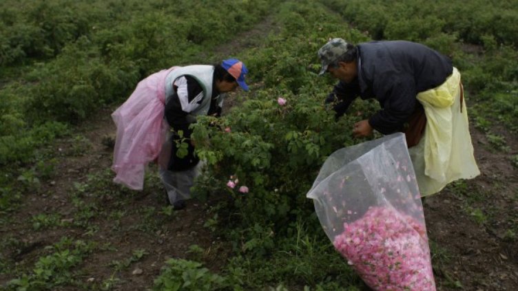 Износът към ЕС спада за пръв път от ноември 2014 г.