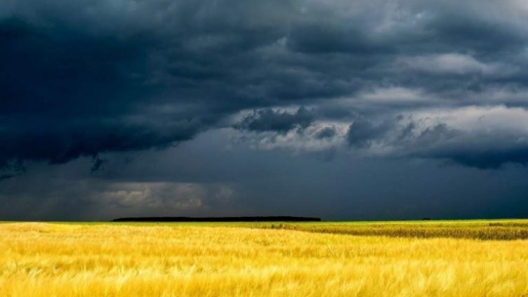 Земеделци: Спешно България да започне опити с облаци за дъжд