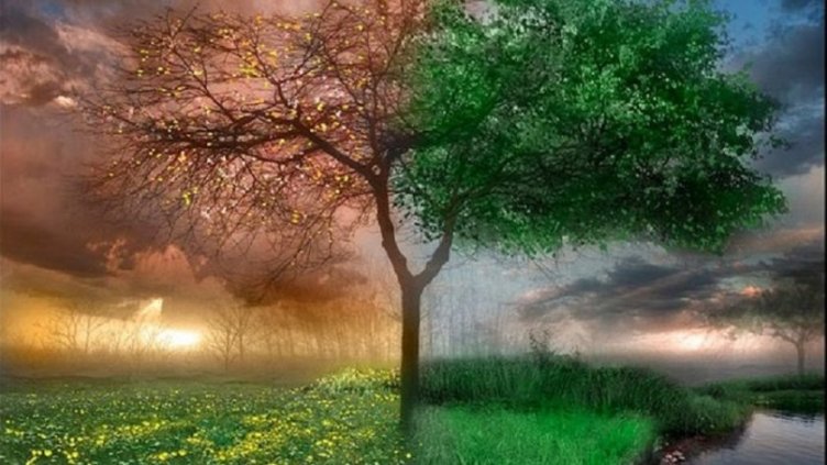 Виц на деня - 4 февруари