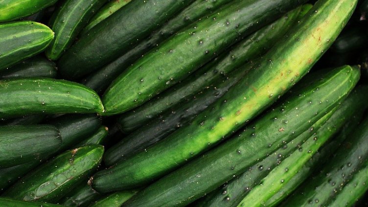 На краставичаря – краставичките, килото на едро вече 5 лв. А до магазина?