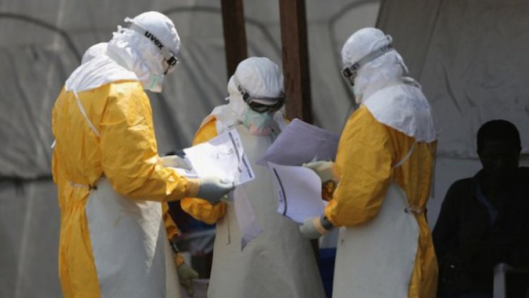 Птичият грип наближава Варна