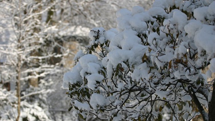 Мъгла и сняг в страната, снегорините са в готовност