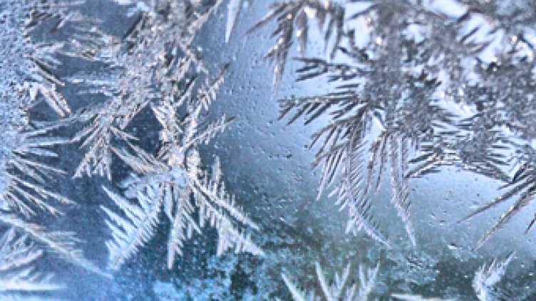 Без сняг за Нова година