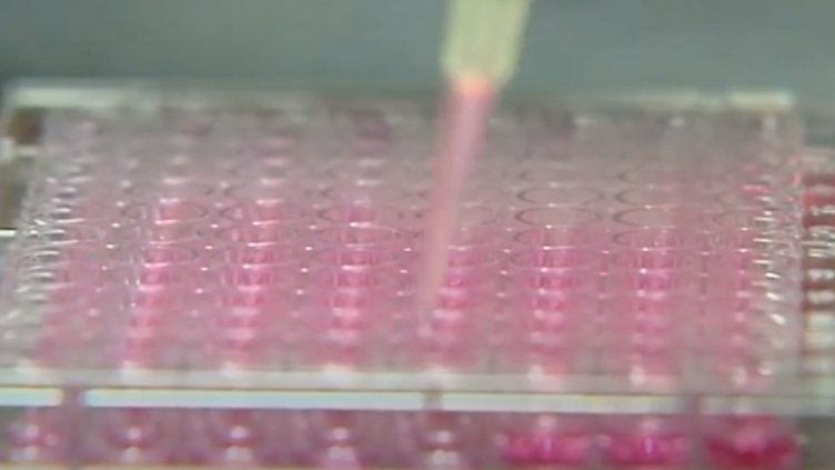 Как работят различните ваксини срещу COVID-19?