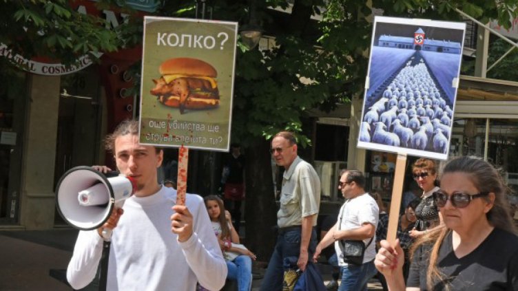 Веганите на протест: Спрете опитите с животни!