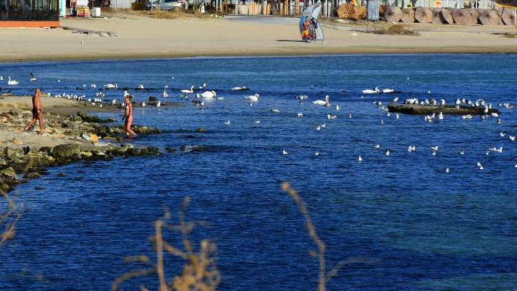 Снимка Пламен Гутинов 