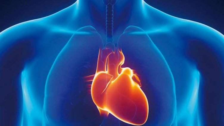 Симптоми при миокардит – възпаление на мускула на сърцето