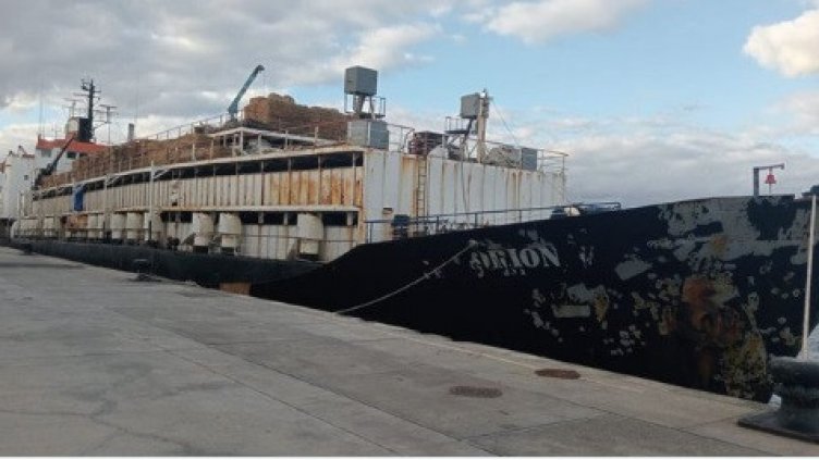 Заловиха 4,5 тона кокаин край Канарските острови в кораб пълен с крави (ВИДЕО)