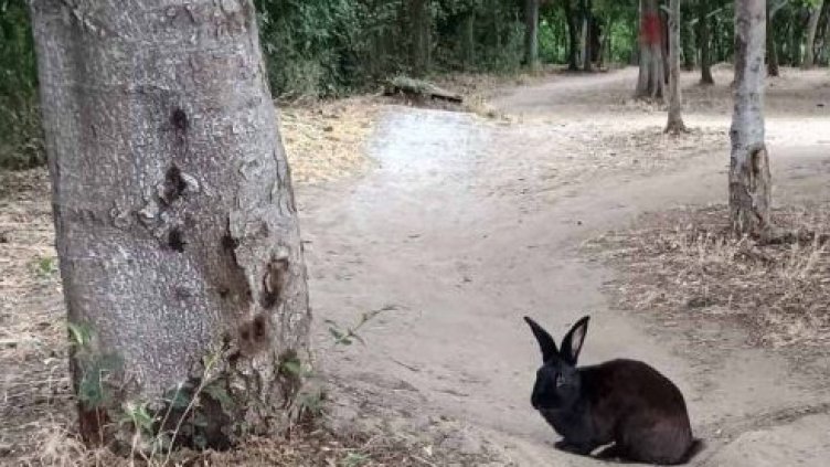 Снимка: Moreto.net / Т. Бялков