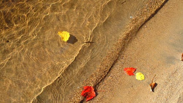 Днес есента се усмихва във Варна