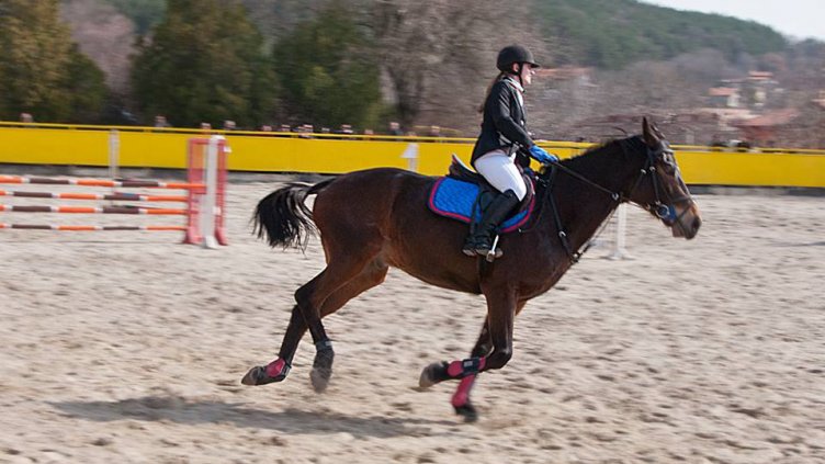 снимка: Ели Маринова