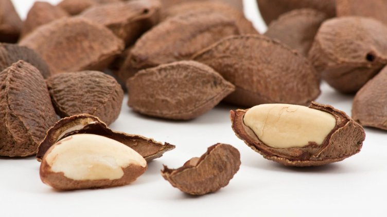 Бразилски орех - враг на наднорменото тегло