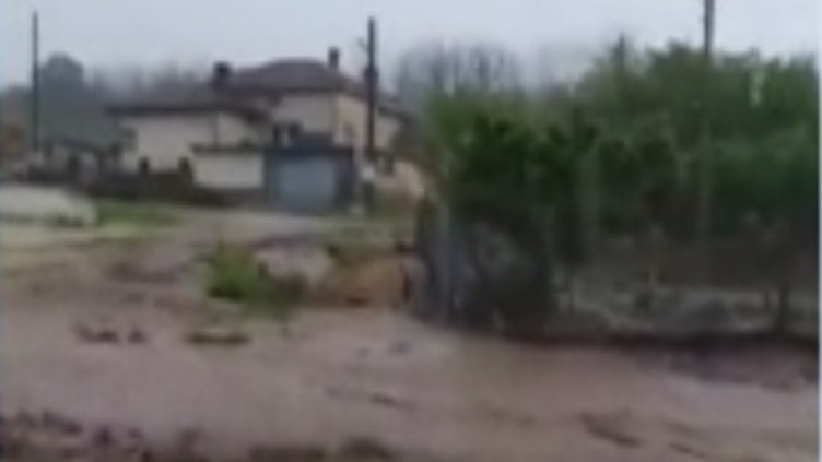 Порой в Силистренско: Щетите са големи