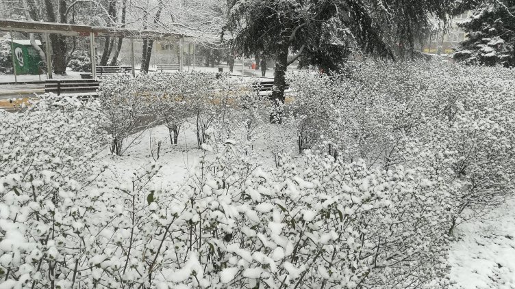 Зимата пак ни изненада: Десетки населени места останаха без ток