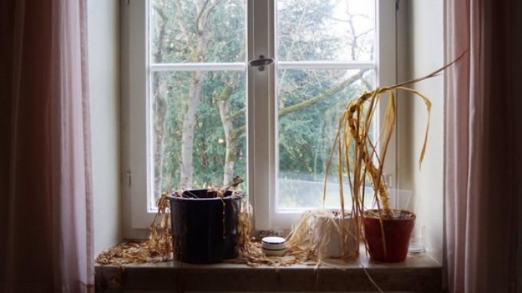 Кои неща трябва да изхвърлите от дома си веднага? Носят лош късмет