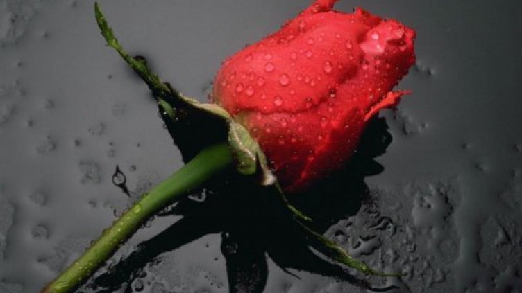 Първата жена получила трансплантация на лице почина във Франция