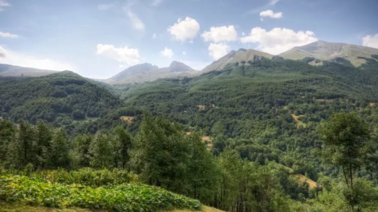 Спасиха изгубени туристи в Котленския балкан