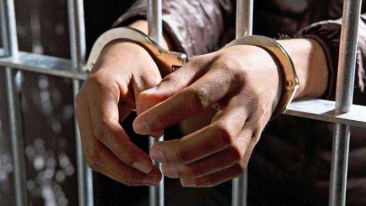 Оставиха в ареста собственика на кучетата, разкъсали човек във Владо Тричков