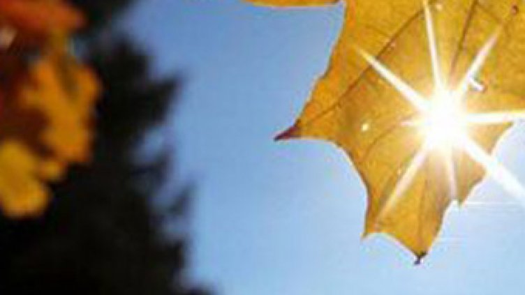 Жълт код за бурен вятър, температурите до 26 градуса