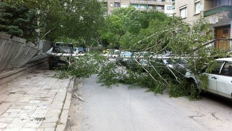 Паднали дървета потрошиха две коли на „Акациите“