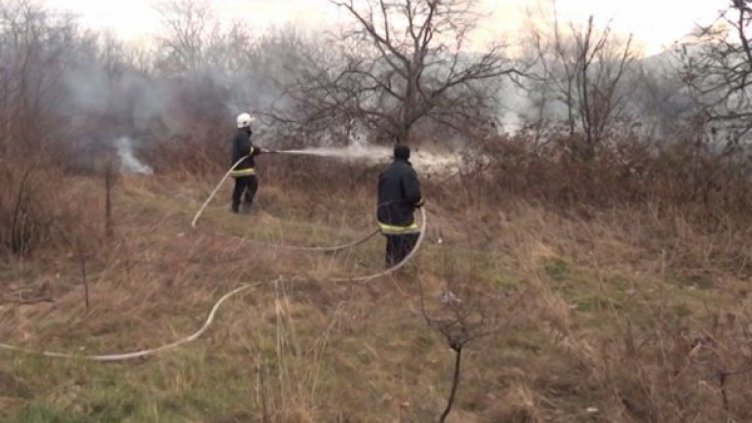 Снимка Dnes.bg