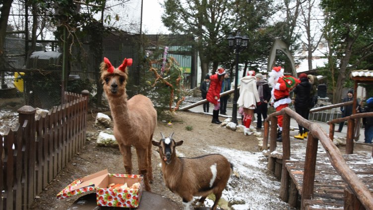 Дядо Коледа зарадва с лакомства животните от варненския зоопарк
