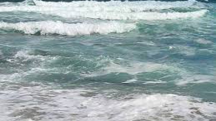 Днес е Международният ден на Черно море