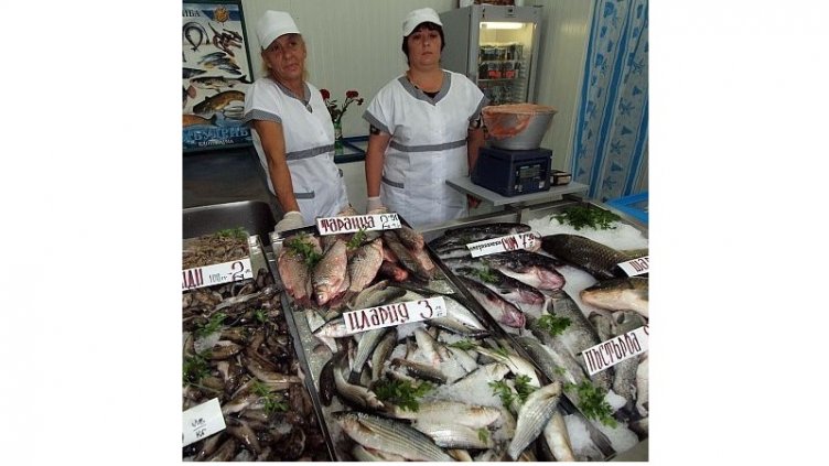 Виц на деня - 7 май