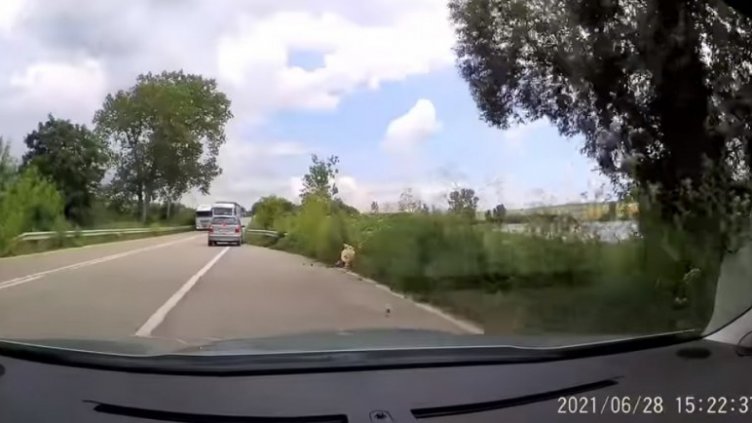 Изпреварване на тирове едва не завърши с трупове на пътя