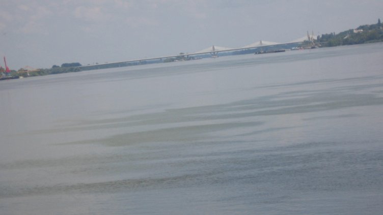 Нивото на река Дунав ще се покачва и в идните дни