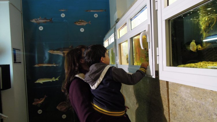 Аквариумът посрещна малки и големи в деня на Черно море
