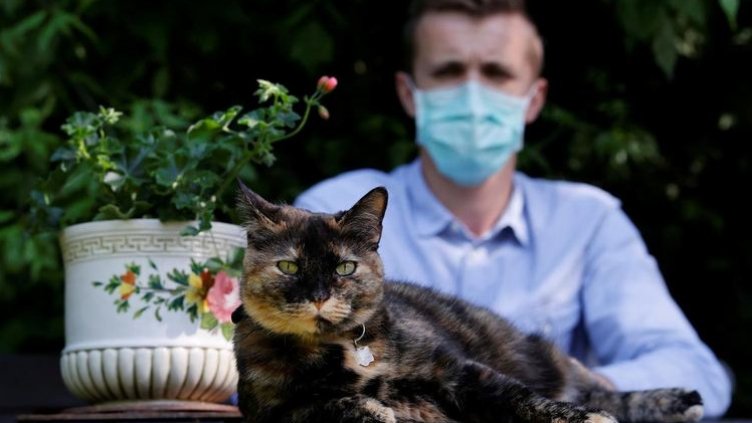 Домашните котки разпространяват опасна болест