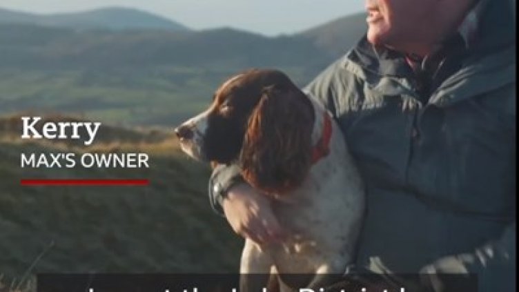 Куче, помогнало на хиляди с онлайн терапия, получи орден