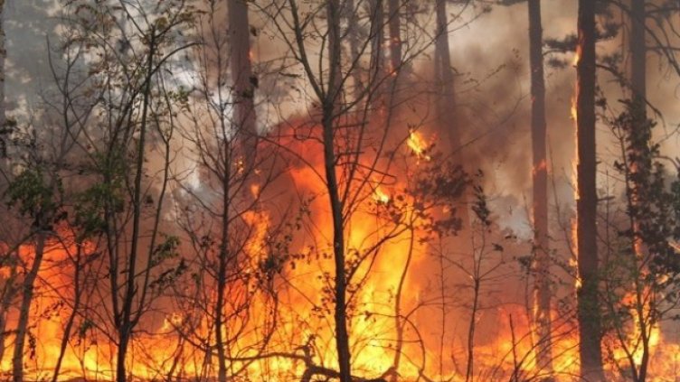 Снимката е илюстративна.