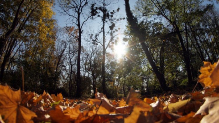 Лятото се връща, живакът скача до 26 градуса