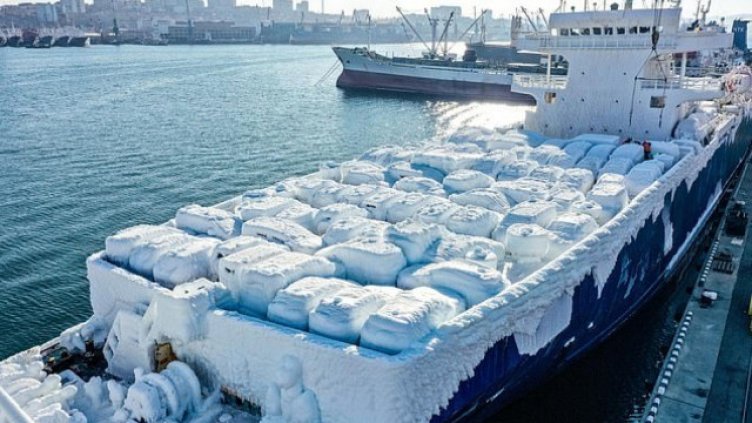 Дълбоко замразена доставка на… нови кoли! Налудничаво, но реално (ВИДЕО)