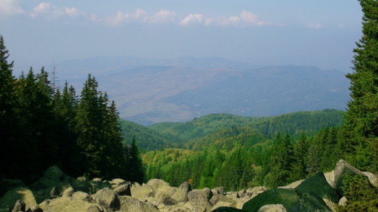Жена се изгуби на Витоша, спасиха я