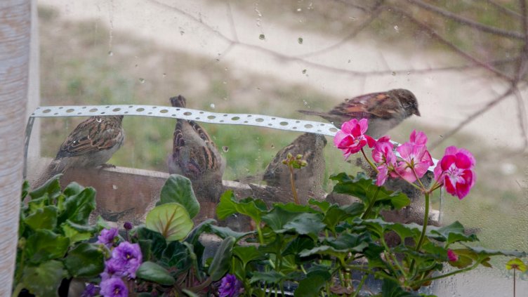 Снимка Ели Маринова