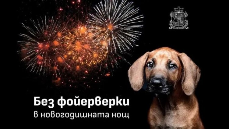 В София решиха: Без фойерверки в новогодишната нощ