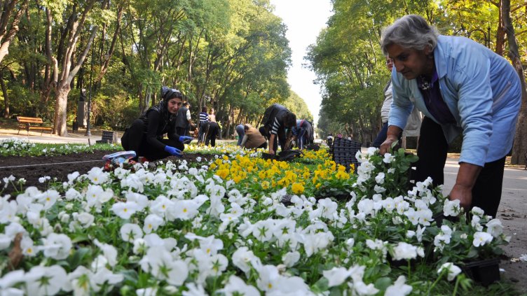 Снимка Пламен Гутинов