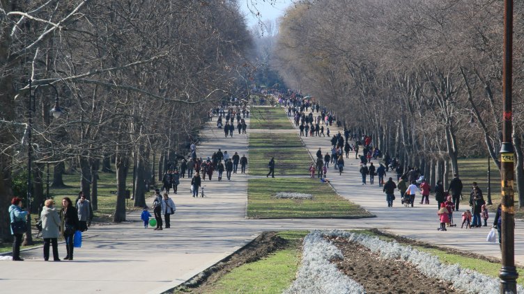 Снимка Пламен Гутинов, архив