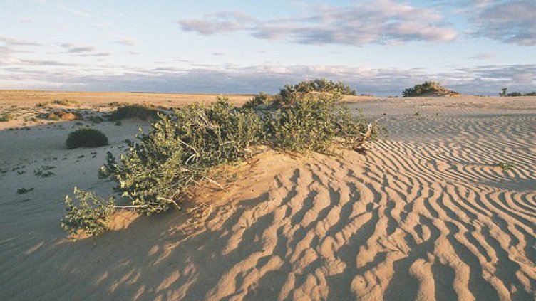 Ангелкова: Без хавлии върху дюните!