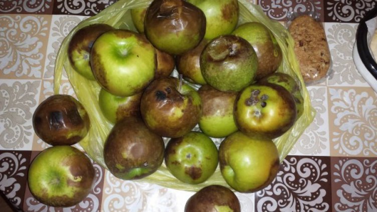 Дарение за слепи - гнили ябълки и мляко с изтекъл срок