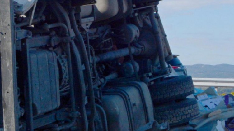 Камион с фураж отнесе спирка в търновско село