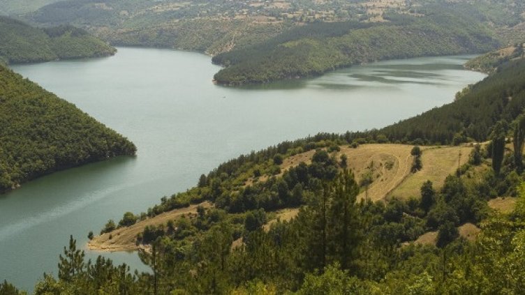 Труп на търсен от 10 месеца мъж изплава от язовир