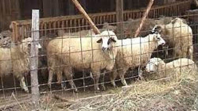 Снимката е илюстративна: АРХИВ