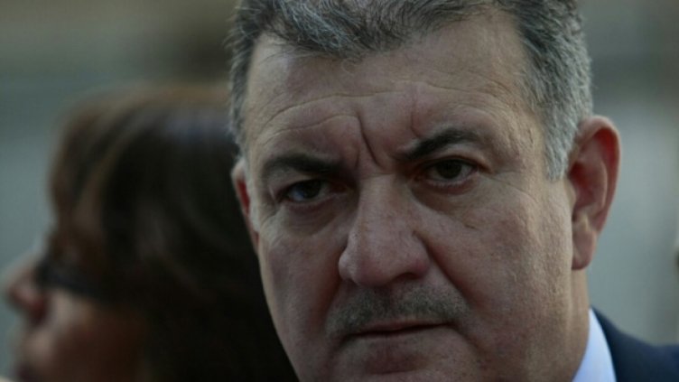 Комисар Костов: Делфините в Черно море са починали от удавяне