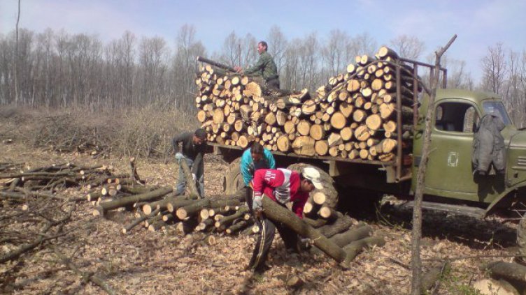 100 лв. удари кубик дърва тази есен