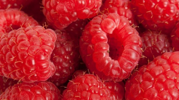 В Пазарджик набират работници за бране на малини в Португалия